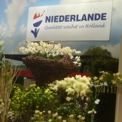 Der Stand der NIederlande