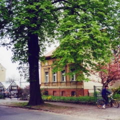 Kastanienallee 19